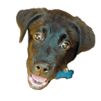 Mac